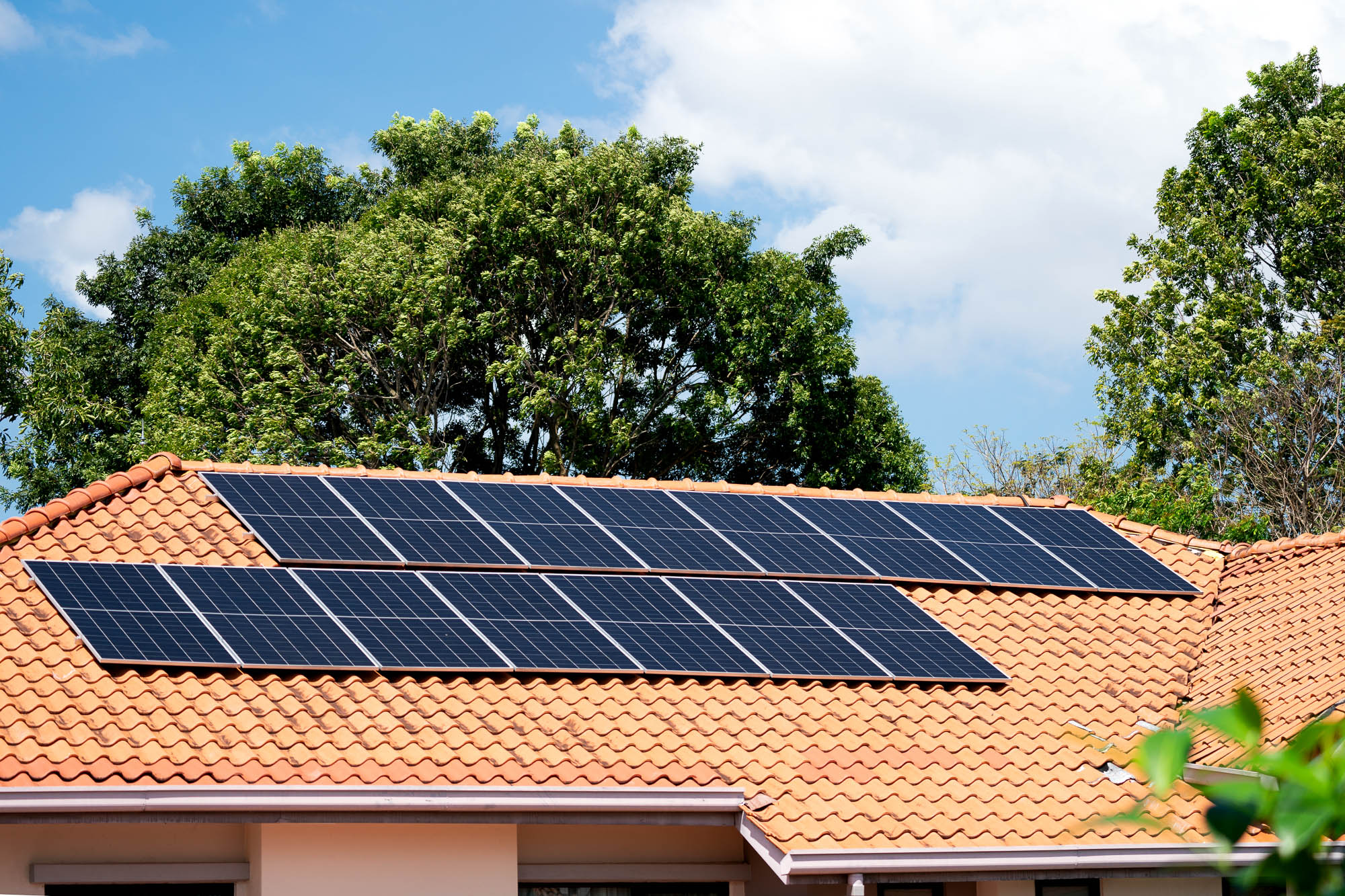 solar-panels-on-residential-roof-for-clean-energy-2026-03-20-05-55-23-utc-2